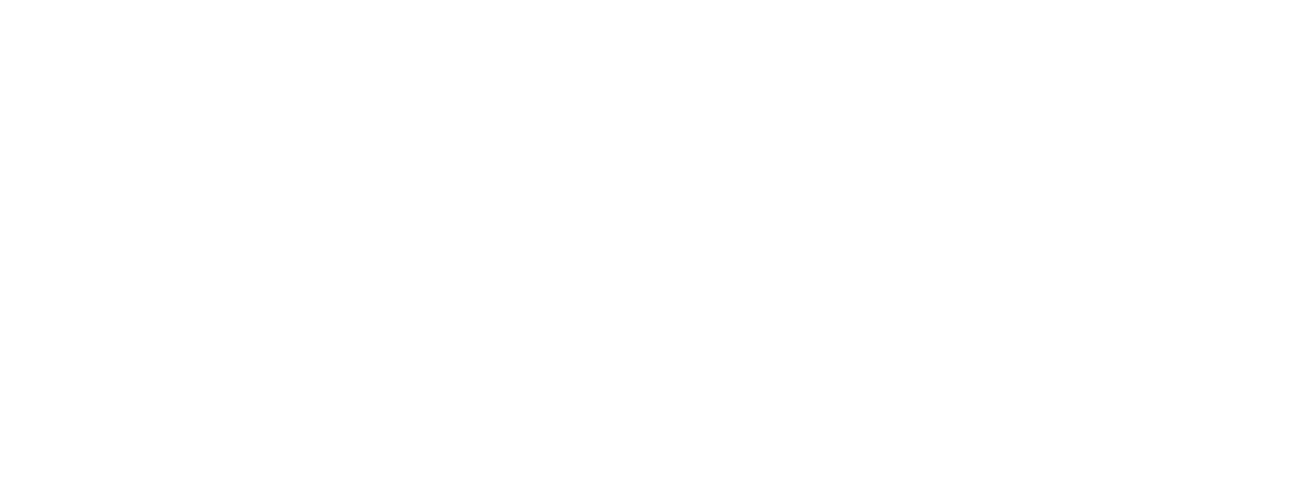 Smart Acumen Logo