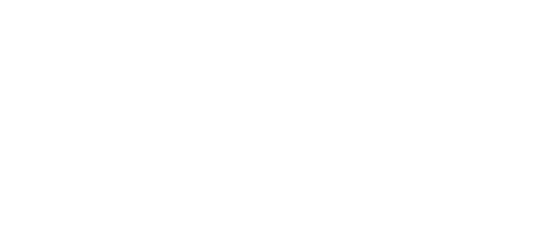 Smart Acumen Logo